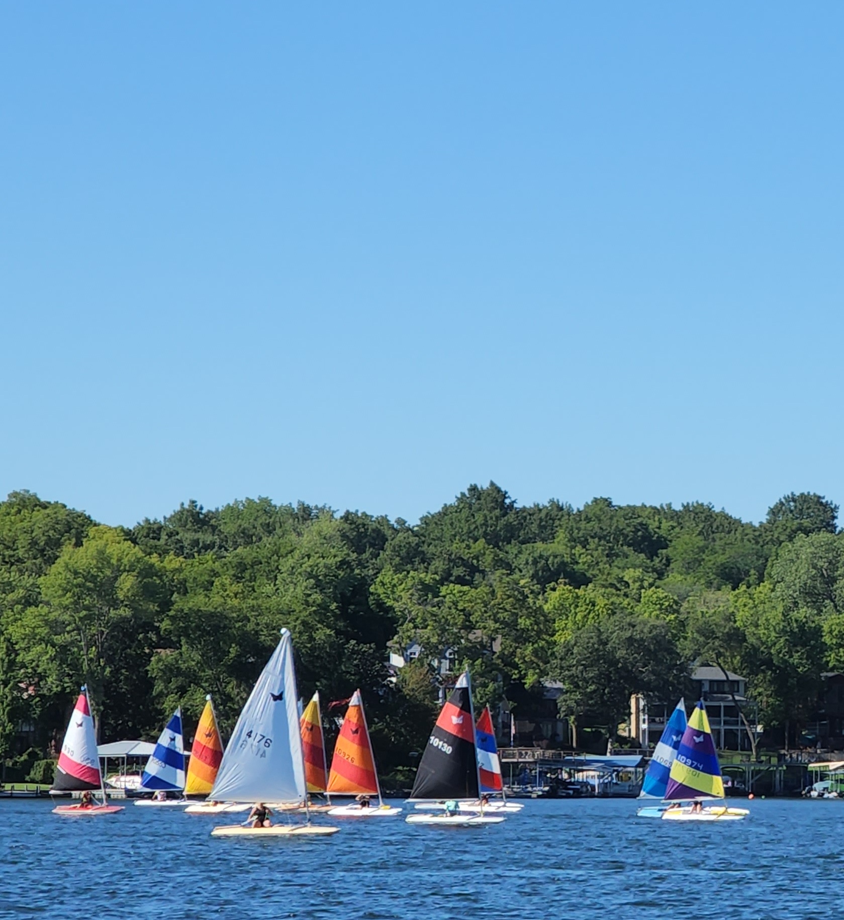 Butterfly fleet under colorful sails